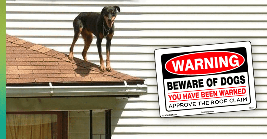 roofing contractor dogs