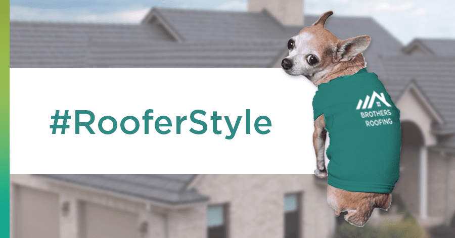 outfit your roof dog